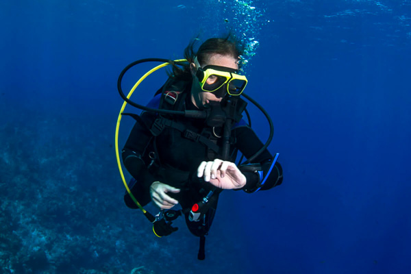 Master Diving Courses